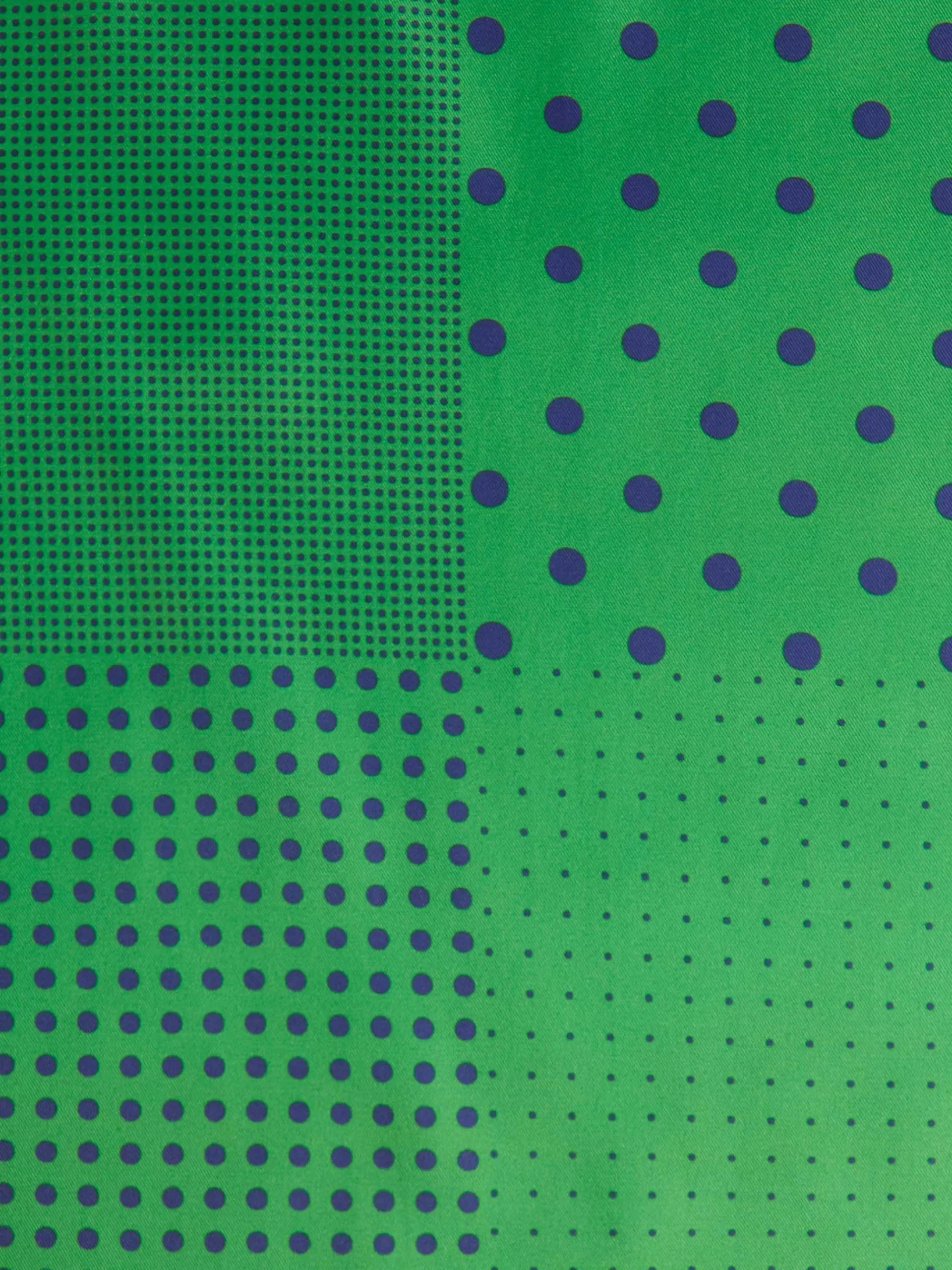 pauelo_printed_verde_3.webp Store Alvaro Moreno PAÑUELO PRINTED Verde